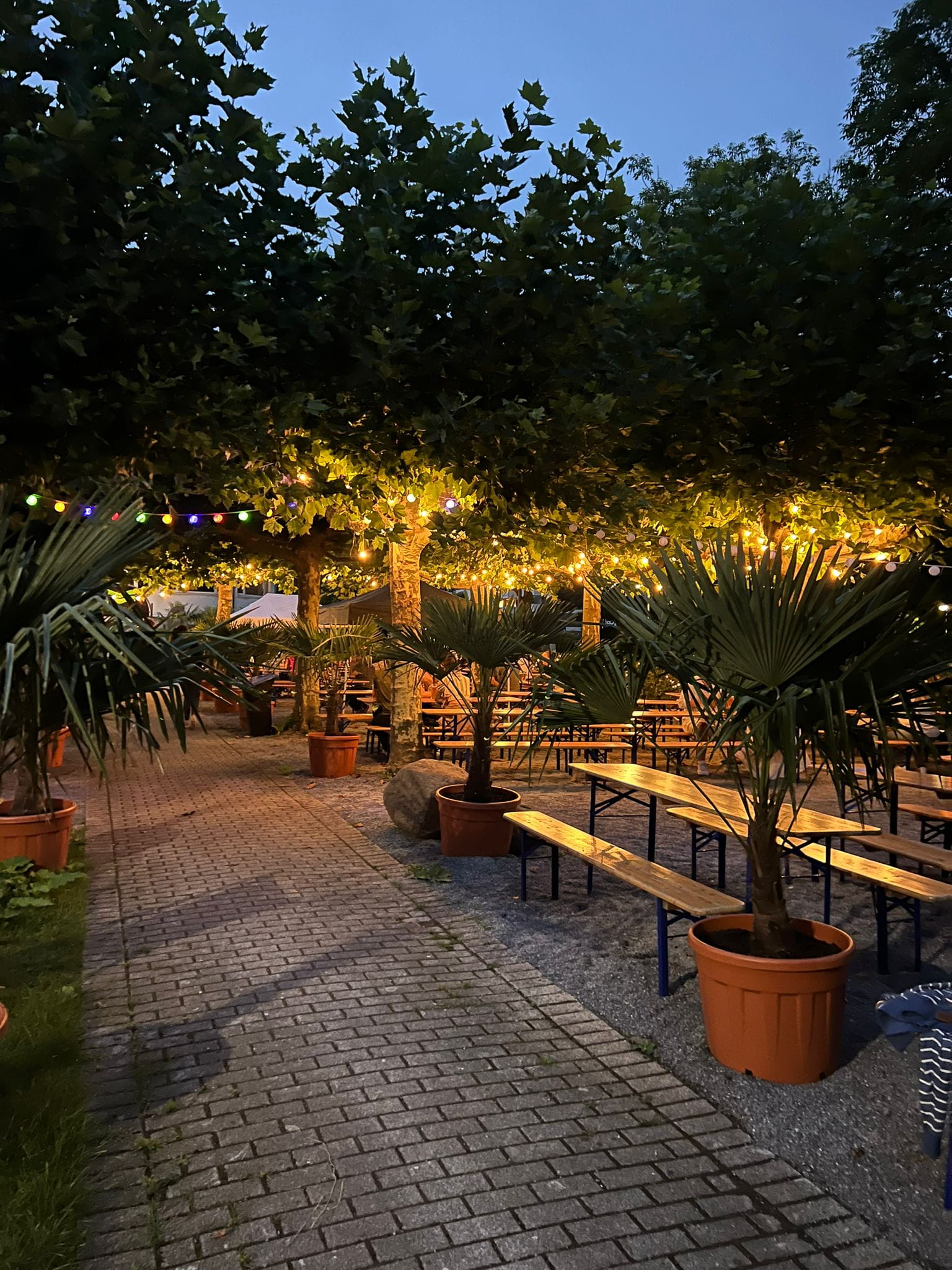 Abendliche Stimmung. Lichtkugeln unter einem Zelt, und Bierbänke. Weiter hinten stehen Bäume.